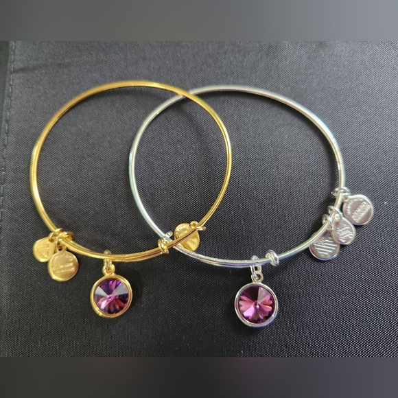 Alex and Ani Expandable Coppure Bangle Purple Stone Charm set of 2 - Picture 5 of 8